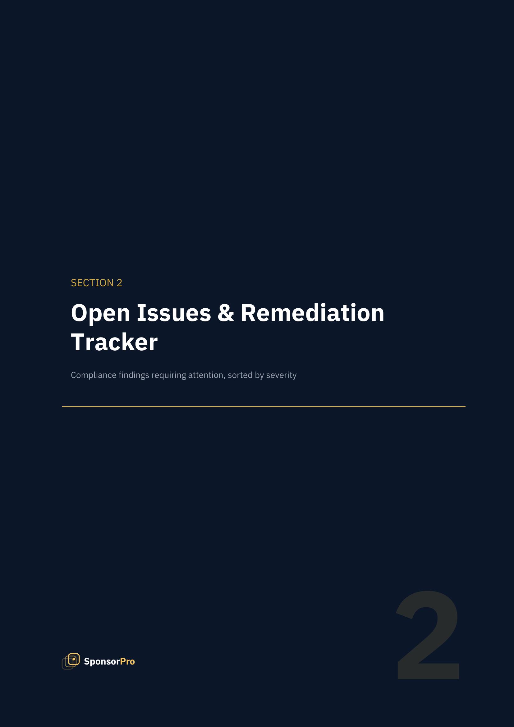 Section 2: Open Issues & Remediation Tracker